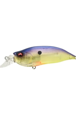 Leurre MEGABASS IXI Shad type-R Imakatsu bream Offre Exclusive