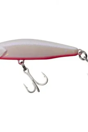 Leurre ILLEX Fit minnow 60mm Akoya flash red belly Livraison Express