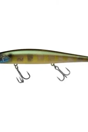 Leurre ILLEX Magsquad 16cm Etto noike gill Meilleur Prix