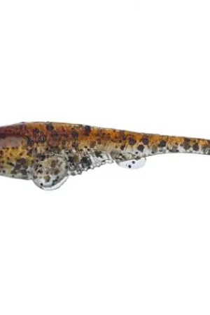 Réduction Leurre GUNKI Rockstar 4.5cm Wild goby