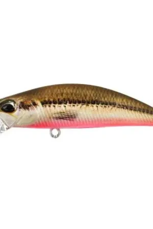 Leurre DUO Spearhead Ryuki 7cm Flottant ACC4830 Dernier Modèle