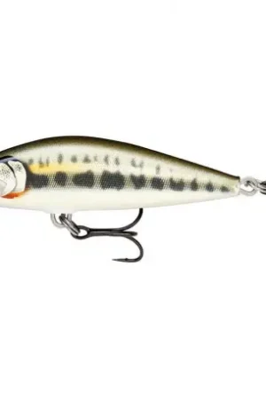 Leurre RAPALA Countdown ELITE 55mm GDMN Top Vente