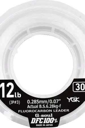 Réduction Fluorocarbone YGK G-soul DFC 100% 0.33mm 8.11kg 30m