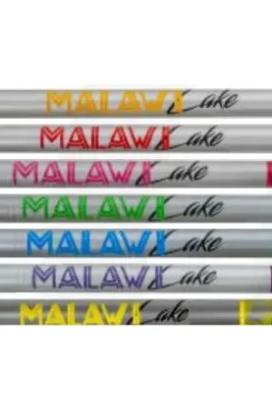 Canne MILO malawi lake 4mt- 3/8gr Acheter Direct