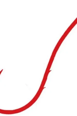 Hameçon OWNER Ryusen 59330 n°2 Rouge Jusqu'à Épuisement Des Stocks