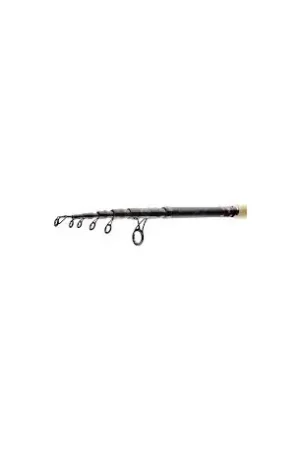 Usine Directe Canne DAIWA Ninja 2m40 10-30gr