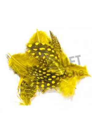 Pintade jaune JMC Livraison Express