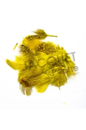 Meilleure Vente Perdrix grise jaune JMC