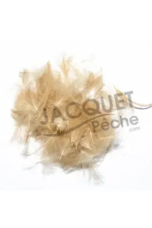 Achetez Aujourd'hui Cul de canard FLY SCENE Gold