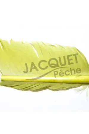Authentique Substitut de Condor JMC Vert Insect