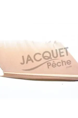 Haute Qualité Substitut de Condor JMC Beige