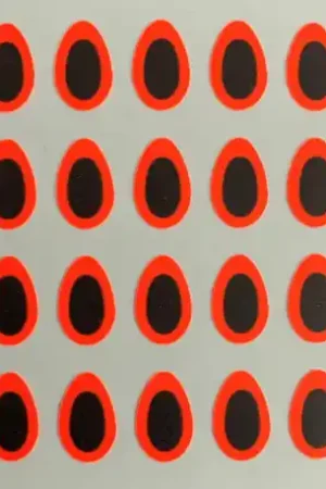PACCHIARINI'S Predator Eyes Orange Fluo 10mm Acheter En Ligne