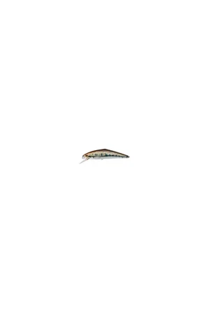 Leurre SMITH D-contact 50mm V4 Seulement Aujourd'hui