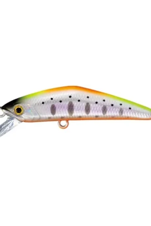 Leurre SMITH D-compact 45mm 21 Seulement Aujourd'hui