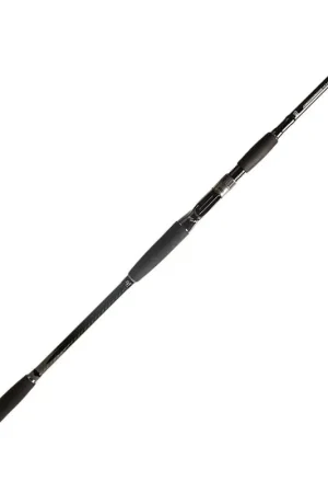 Petit Prix Canne BFT 92 Big Fish Classic 2.59m 8'6 up to 50-170gr Stephan Trumsted