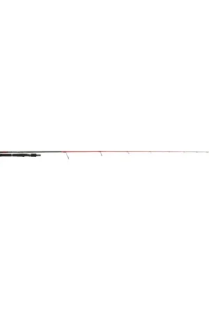 Canne TENRYU INJECTION SP 69 ML 2.05m 2-10 gr Bon Plan