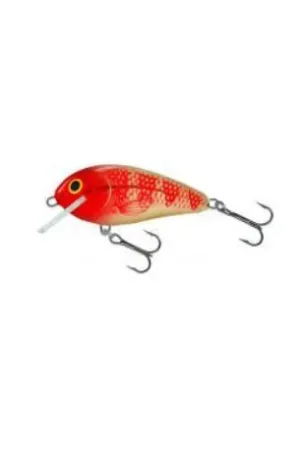 Leurre SALMO Butcher 5cm golden red head- flottant Offre Limitée