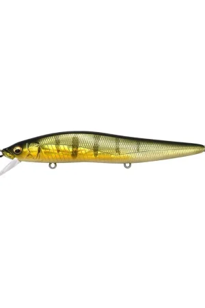 Paiement Sécurisé Leurre MEGABASS Vision One ten LBO GG perch