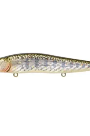 Leurre MEGABASS Vision oneten 11cm Takumi kawamasu Remise