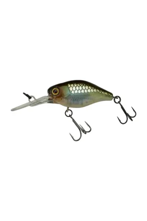 Bon Marché Leurre ILLEX Diving chubby 3.8cm etto noike gill
