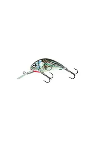 Leurre SALMO Hornet 5cm COULANT Holographic grey shiner Seulement Aujourd'hui