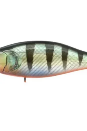 Commander Vite Leurre MEGABASS I Jack 108mm GG Redfin perch