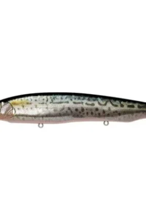 Leurre MEGABASS Kanata SW ayu 16cm FA Saba Prix Choc
