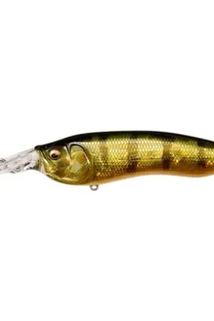 Leurre MEGABASS Live-X model 1 GG Perch Nouvelle Collection