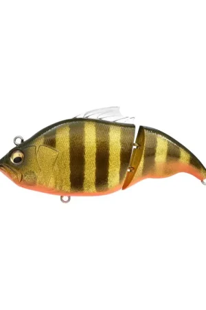 Leurre MEGABASS Vatalion F GLX Megakin Gill Promotion Saisonnière