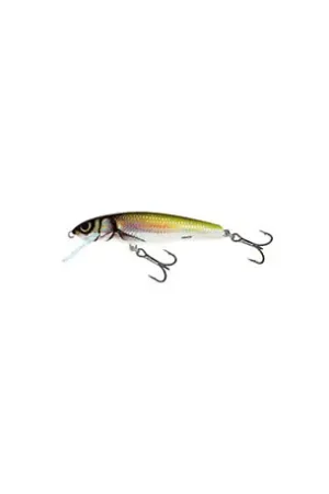 Leurre SALMO Minnow 5cm COULANT Holo bleak Remise