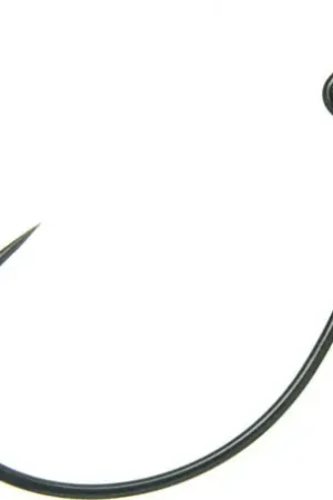 Hameçon DECOY Worm 25 n°5/0 Promotion