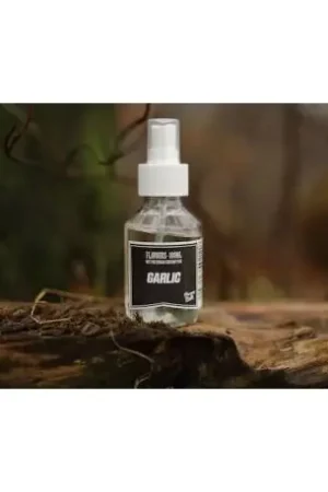 Commander Maintenant Liquide spray DREAM BAITS Garlic - 50Ml