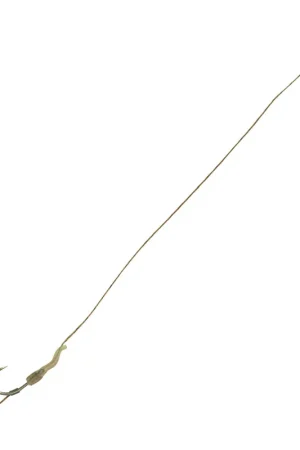 Bas de ligne carpe mack2 line aligner rig (x2) Expédié Aujourd'hui