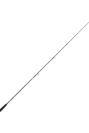 Canne Spinning Daiwa Steez AGS 671 MHFS 2.01m, 7-28g Meilleur Prix