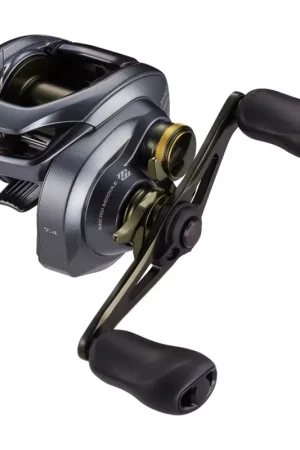 Moulinet Casting Shimano Curado DC 201 HG Offre Limitée