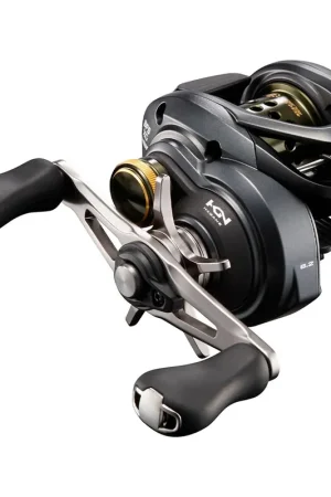 Commander Vite Moulinet Casting Shimano Curado BFS XG RH