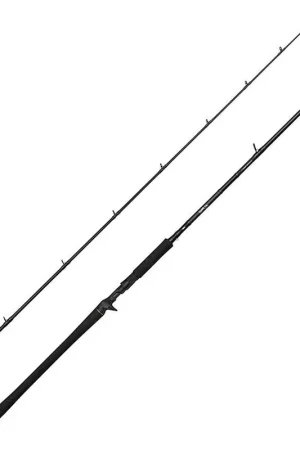 Canne Casting Savage Gear Alpha SG2 Monster BC 2.21m, 35-100g Expédition Rapide