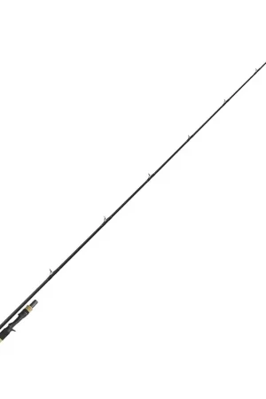 Promotion Canne Casting Tenryu Injection BC 73 H Pike Special 2.21m, 20-80g
