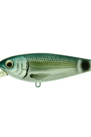 Jerkbait Coulant Molix Brugas R 8.5cm, 20g Offre Limitée