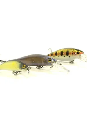 Pack Bzone STK Trout (x3) Commander Maintenant