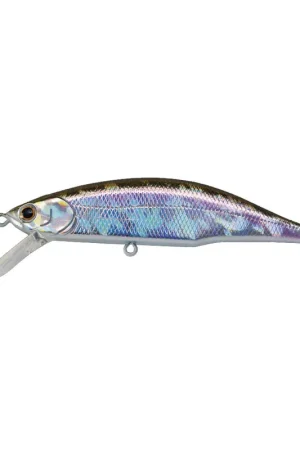 Leurre Dur Jerkbait Jackson Meteora 8cm, 15.5g Offre Spéciale