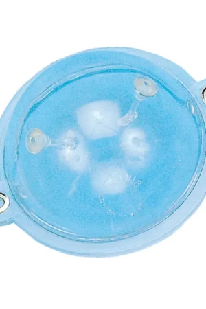 Buldo carnassier rond transparent (x2) Solde