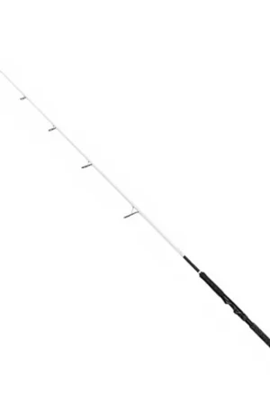 Super Prix Canne Spinning Madcat White Spin 2.40M 50-175G
