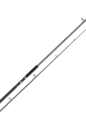 Canne SHIMANO Forcemaster AX Catfish 2m40 Bon Plan