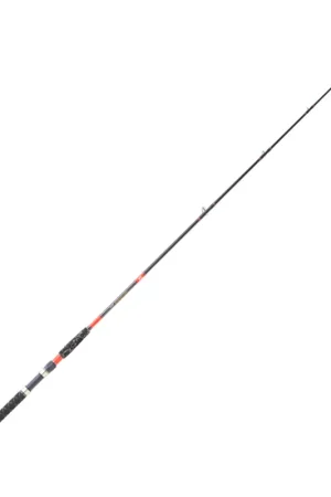 Canne Daiwa Megaforce Big Fish 320 cm Authentique