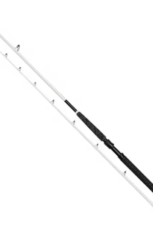 Bon Marché Canne Spinning Madcat White Far Out Multiplier 3.00M 200-400G
