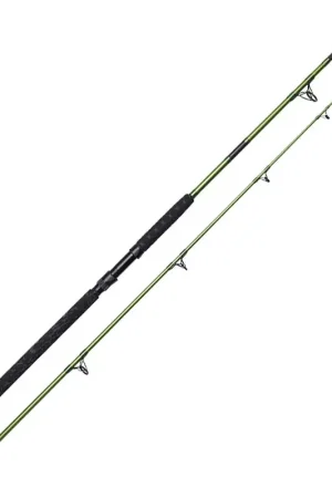 Canne silure Madcat Green Heavy Duty 3m 200-400g Affaire À Saisir