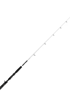 Canne Madcat White Kayak Casting 1.65 m 50-150 g Expédition Rapide