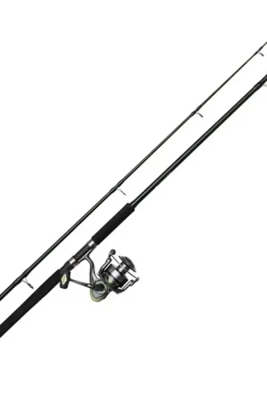 Commander Maintenant Ensemble DAM Full Cat XP Heavy-D 2m70 150-250g