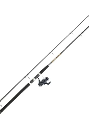 Meilleur Choix Combo Daiwa SW CF 262 CF + PH 5000 BU